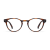Tortoise